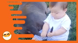 Cutest Babies of the Day! [20 Minutes] PT 16 | Funny Awesome Video | Nette Baby Momente by Funny Awesome 2,018,704 views 2 years ago 28 minutes