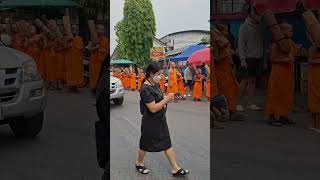 Thailand Chinag Rai Video #thailnd #beautifulvideo #shortvideo #thailandvideo #niecvideo