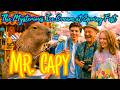 Mr Capy,The Mysterious Ice Cream at Spring Fest