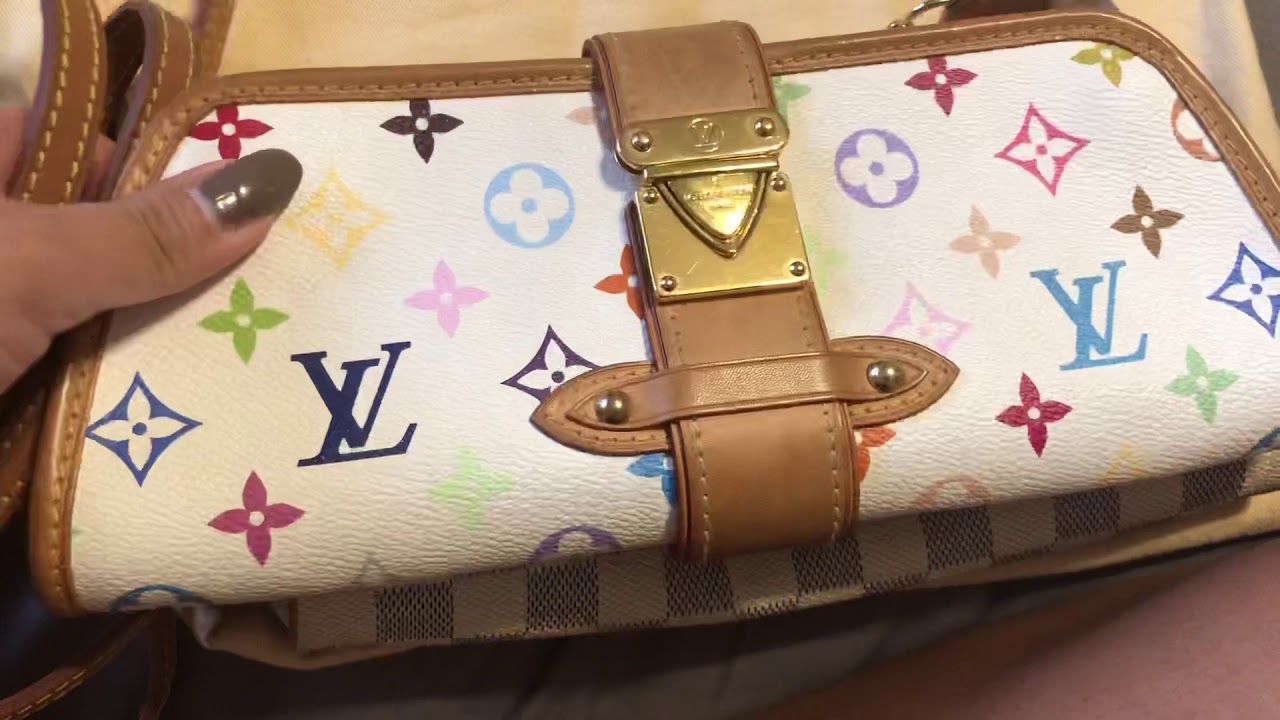 What fits in the Louis Vuitton Shirley Clutch (discontinued) 