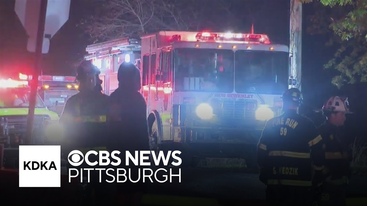 Several cats missing after Beaver County house fire - YouTube