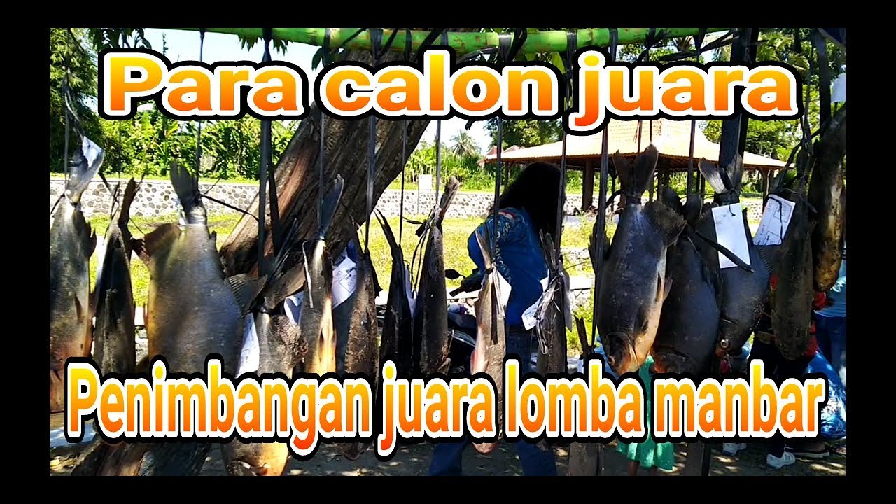 Mancing bareng dan bazar, mancing mania jogjakarta ...