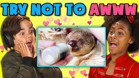 KIDS REACT TO TRY NOT TO AWWW CHALLENGE