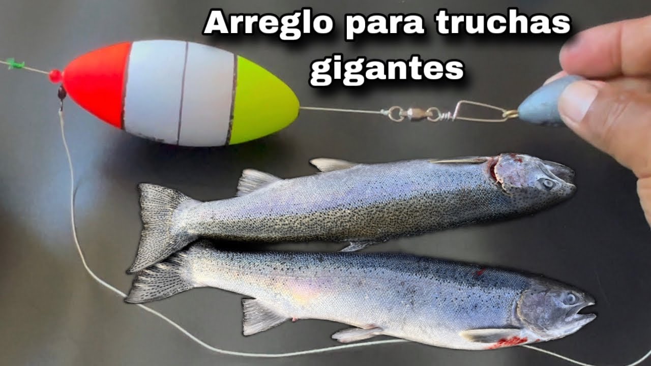Esto es lo mejor para pescar truchas gigantes