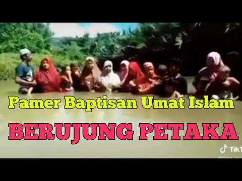 Video: Algoritma perilaku sekolah kawanan. Kontrol mode