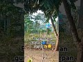 #gunungdepanrumah