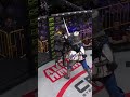 KO to End the Knight