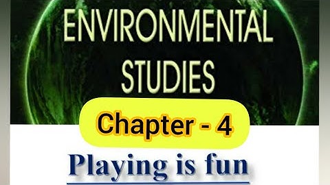 Chapter - 4 || Playing is fun || Questions - A, B, C, D and E