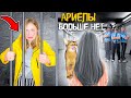 РЫДАЮ! МОЮ КОШКУ ХОЧЕТ ОТОБРАТЬ ЗАВОДЧИЦА! Ариела в опасности!