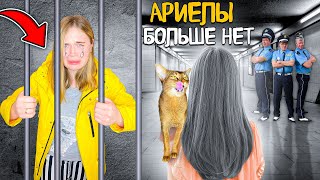 РЫДАЮ! МОЮ КОШКУ ХОЧЕТ ОТОБРАТЬ ЗАВОДЧИЦА! Ариела в опасности!