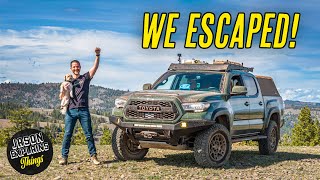 We Escaped to the Mountains!