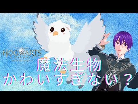 【魔法生物かわいすぎない？？】魔法界は、俺が統べる【ホグワーツ・レガシー実況 #12】