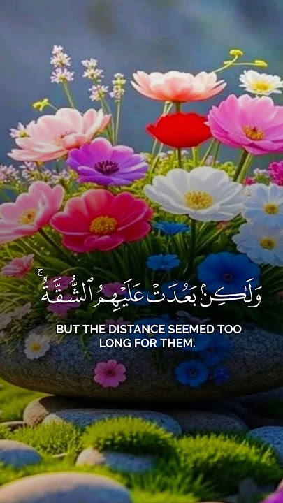 Surah Al Quran سورہ القران  #surhmulk #duet #surahalmulktilawat #islamicprayer #quran