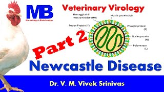 NEWCASTLE DISEASE | Part 2 | Microbiology | Vivek Srinivas |#Poultrydisease  #Veterinaryscience #NDV