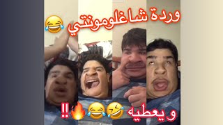 تقليد الشابة وردة شاغلومونتي  و يعطيه ?