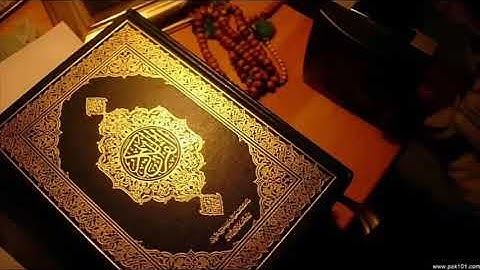 تلاوات تقشعر لها الأبدان للقارئ الشيخ ياسر الدوسري