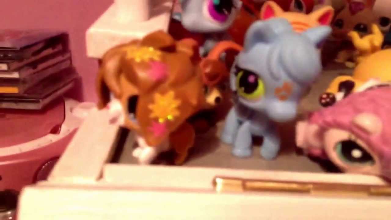 Littlest pet shop collection - YouTube