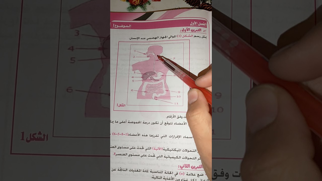 مكونات الجهاز الهضمي عند الانسان سنة رابعة متوسط