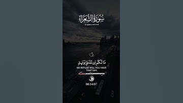 اكتب شئ تؤجر عليه ♥️🎧 #تلاوات_خاشعة #قران_كريم