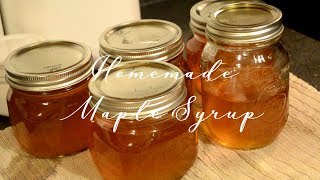 Making Homemade Maple Syrup / DIY Maple Syrup / How to Make Maple Syrup