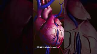 Heart Failure [] Cardiovascular Disease #Shorts