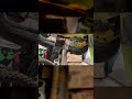 DEWALT 20V Max Deep Cut Band Saw - WATCH it Cut This Pipe! #dewalt #bandsaw #powertools #fyp