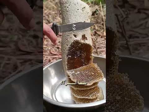 هل يمكن اكل العسل مباشره معلومات عامة معلومات غريبه عسل نحل العسل