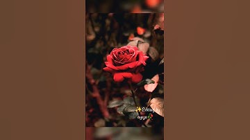 Naam gum jayega lata whatsapp status video download