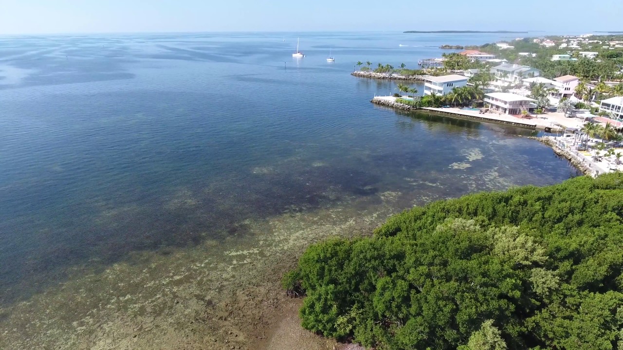 Drone Addiction - Drones Hub