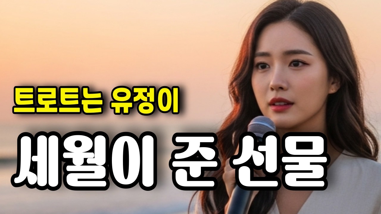 눈물의 감성 트로트 