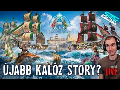 A Koziranytu Content Creator Program alapjai