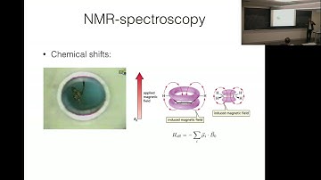 Dries Sels | Semiclassical echo dynamics in the SYK model