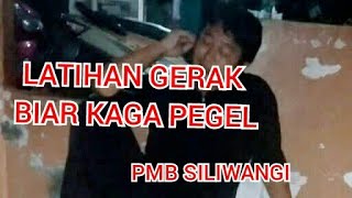 Download Lagu padepokan maung belang siliwangi (PMB SILIWANGI)  latihan silat MP3