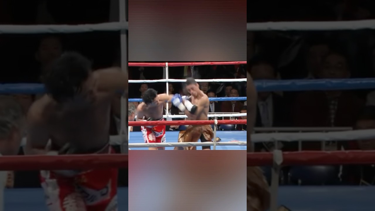 山中 慎介 ノックアウト Shinsuke Yamanaka vs Tomás Rojas for the