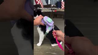 Cat Backpack Harness for Walks & Adventures 🎒🐱