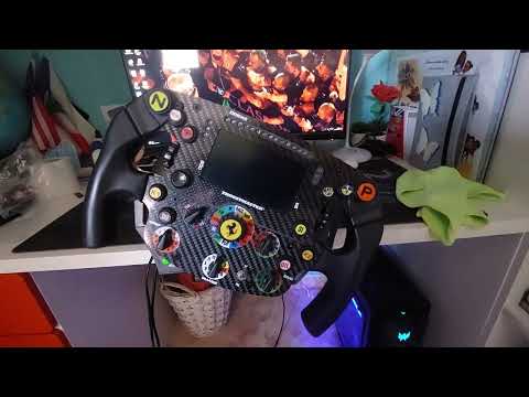 Thrustmaster T300 Calibration Failure