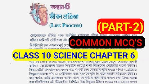 (Part-2) Class 10 General Science Chapter 6 Life Process 💯 % Common MCQ