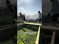 Building My First Allotment Beds Using Leftover Wood 🌱 (Beginner Gardening)