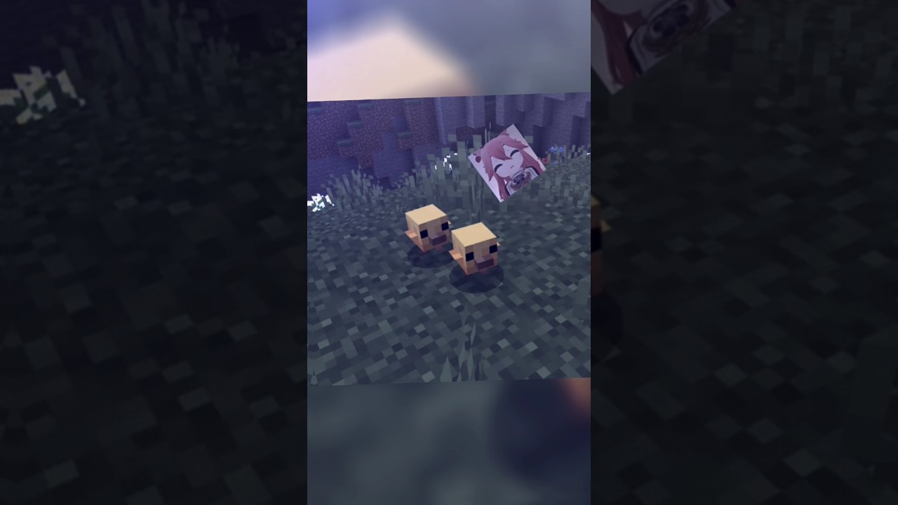Mojang will revamp the Beby mob in the next game drop🔥