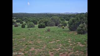 Birdwing Ln, Clay Springs, AZ 85923 - Marleigh Freyenhagen Realtor, ABR, PSA - MLS 262492 Birdwing Ln, Clay Springs, AZ 85923 - Marleigh Freyenhagen Realtor, ABR, PSA - MLS 262492