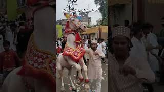 ye sandal hai tajwale ka whatsapp status download #babatajstatus #viralvideo #youtube #1million