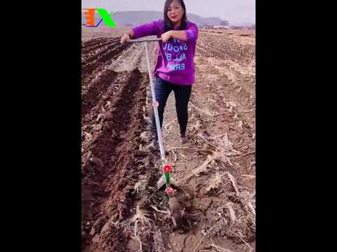 Video: Xới đất bằng tay - Kỹ thuật Đào kép