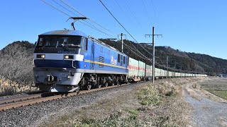 59レ🟩EF210-311『福山レールエクスプレス』2025年1月25日📹