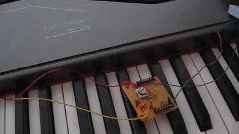 The Truth Why I am so Stupid