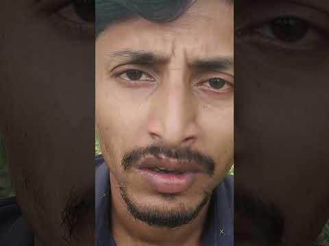 রং চা খাইবেন না দুধ চা