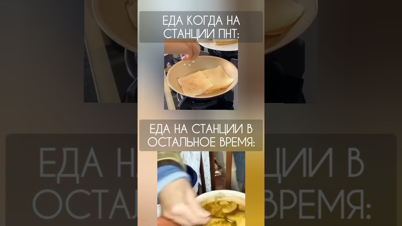 Еда на станции при пнт и без него: |Sunrise, ss14 I