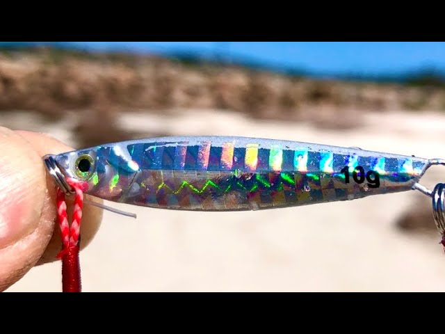 Solo Beach Fishing On Tough Conditions Using Metal Lures 