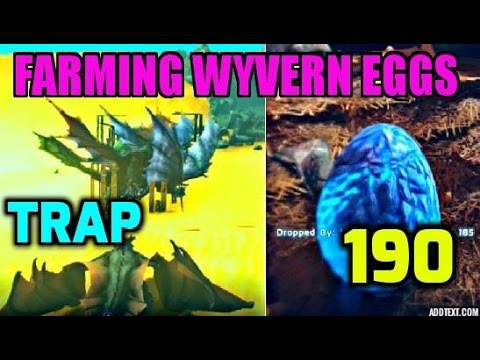 how to farm 190 wyvern eggs after flyer nurf youtube getting wyvern eggs after flyer nerf