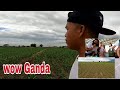 vlog#299 BATANG BUKID TINDERO NA+UPDATE SA MGA TANIM NA MAIS