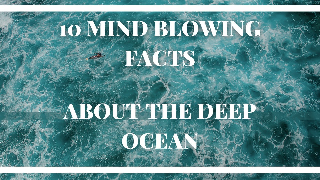 10 Mind Blowing Facts About the Deep Ocean | BA TV | Unbelievable Facts ...